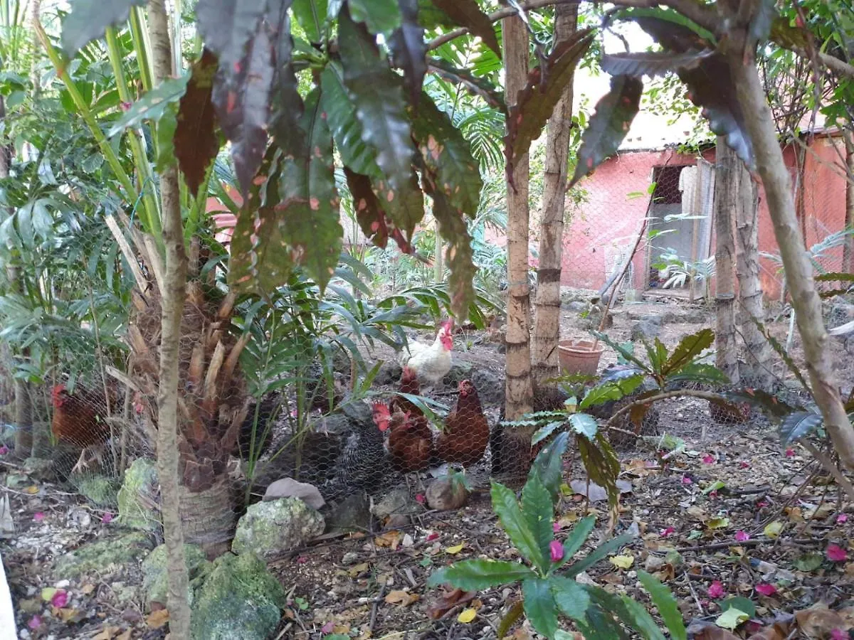 Casa Don Diego Tulum Mexico