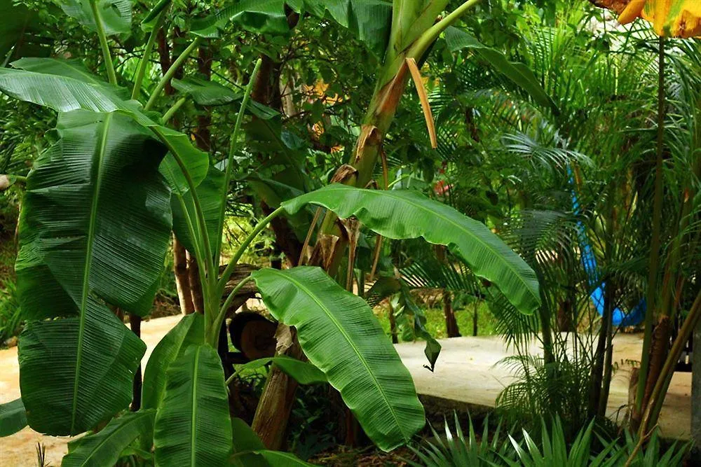 Casa Don Diego Tulum Bed & Breakfast