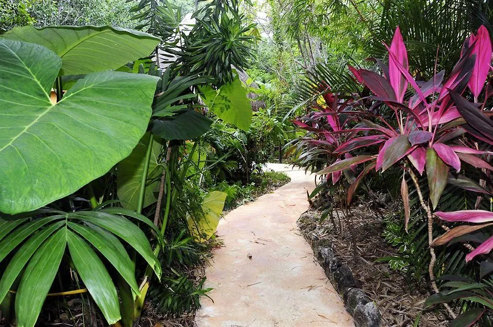 Bed & Breakfast Casa Don Diego Tulum