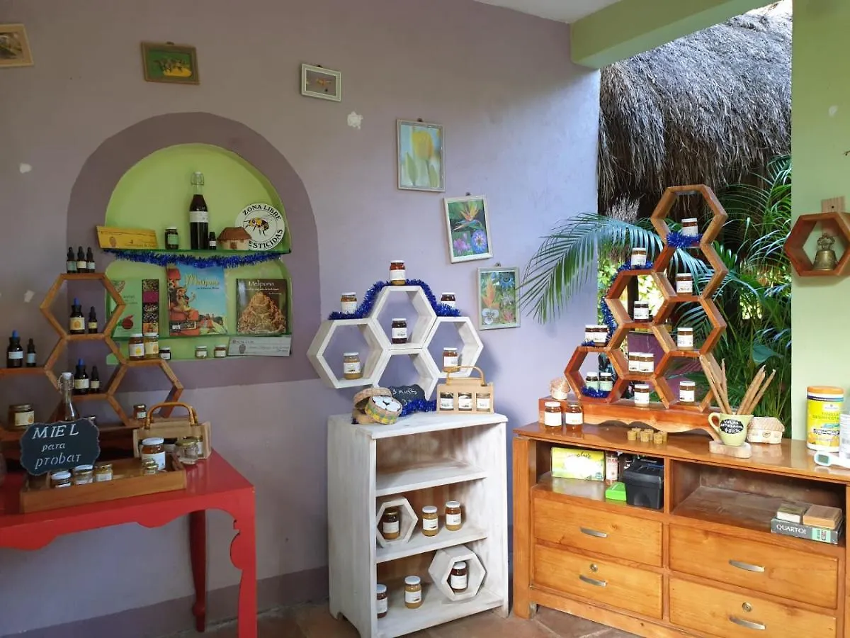 Bed & Breakfast Casa Don Diego Tulum