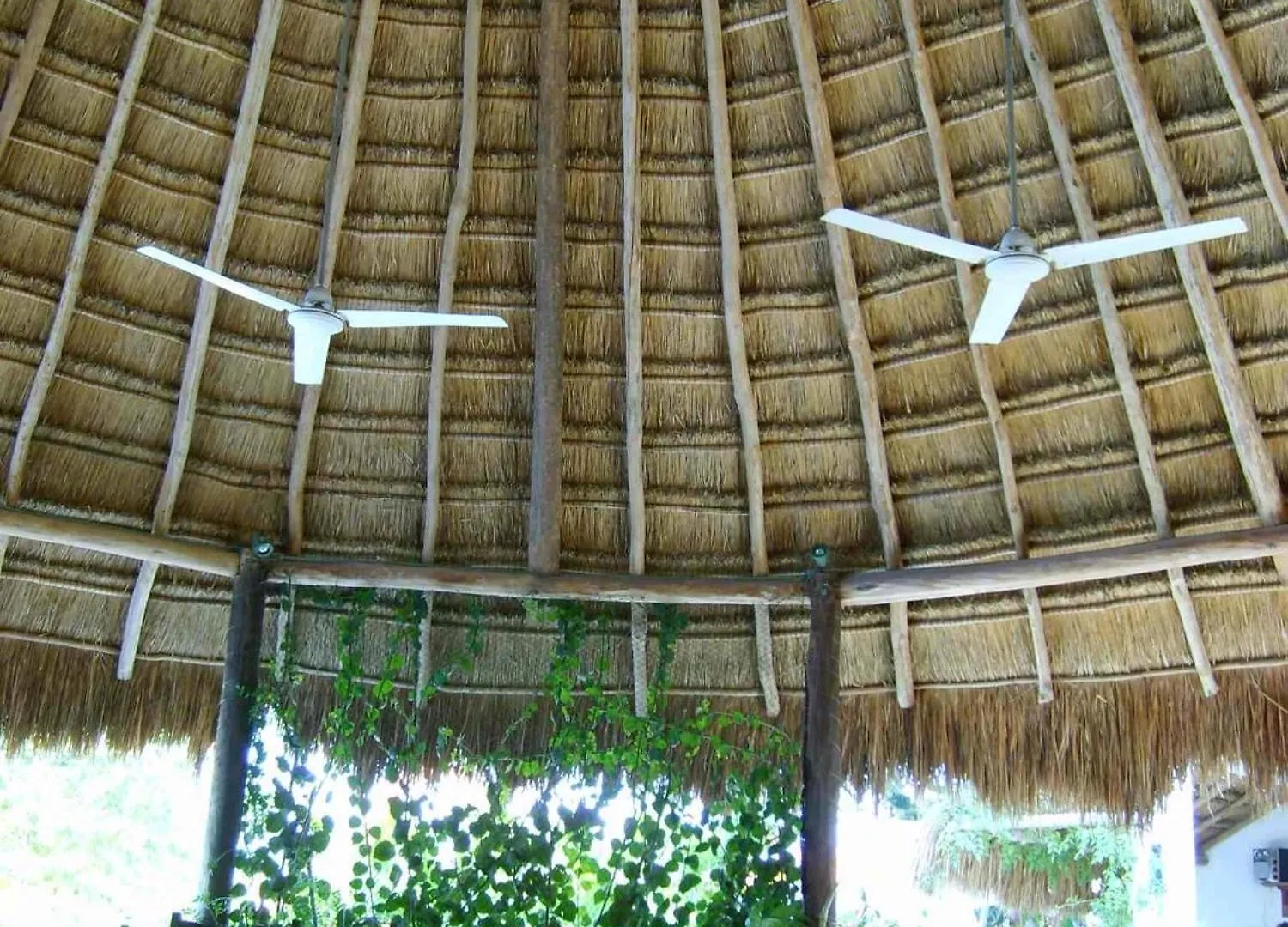 Casa Don Diego Tulum 3*,  Mexico