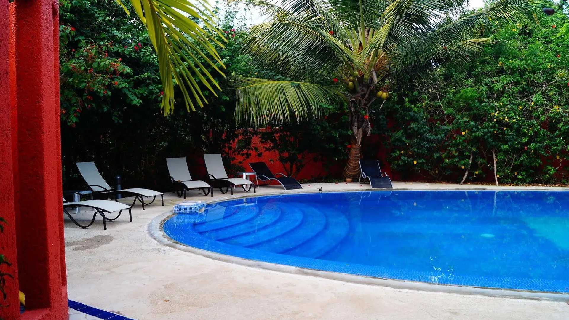 Bed & Breakfast Casa Don Diego Tulum